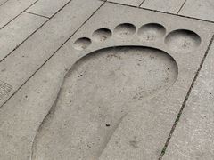 -济南国际园博园