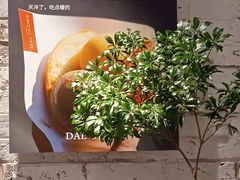 -Dal Cuore 达可芮冰淇淋(陕西北路店)