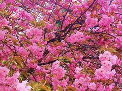 -西安理工大学(金花校区)