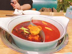 -青瓷火锅料理(西单大悦城店)
