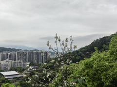 -福道