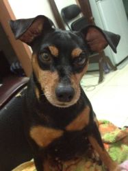 写实-怪咖纹身刺青