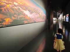 -罗红摄影艺术馆