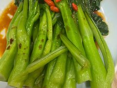 宁夏菜心-有心德(隆生店)