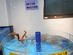 -大家发海鲜城夜排档(华山中路店)