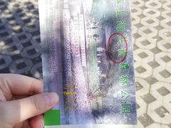 -共青国家森林公园-南大门停车场
