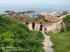 -养马岛旅游度假区