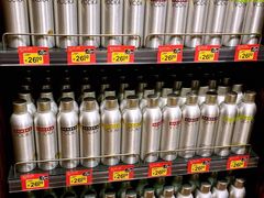 -谢列梅捷沃国际机场