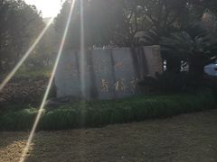 -上海中医药大学附属曙光医院(东部)