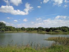 -福建鲤鱼洲酒店