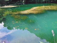 -句容茅山景区