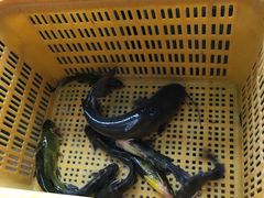 -大鹅岛灶台鱼·铁锅炖(水库路店)