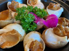 金蝉脱壳之翡翠螺-小和庆·知味(首铸万科店)