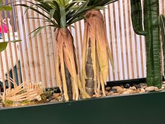 -蕉叶·泰国歌舞风情(世贸店)