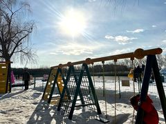 -大兴滨河森林公园