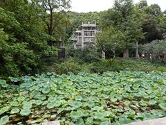 -忆秦园小笼包(惠山古镇总店)
