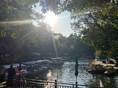 -晓港公园