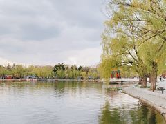 -长春市南湖公园