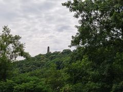 -上海佘山国家森林公园天马山园