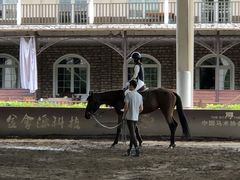 -重庆和泰马术俱乐部