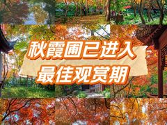 -秋霞圃