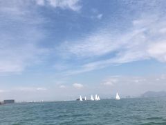 -海豚湾扬帆出海帆船游艇