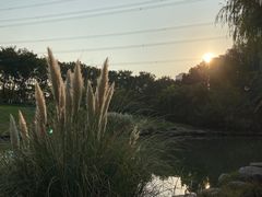 -九里河湿地公园