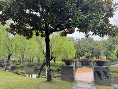 -宁波九龙湖开元度假村