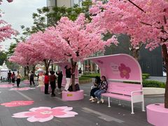 -东莞松山湖万象汇