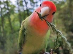 -涵家味土菜馆·徽州一绝臭鳜鱼(三河古镇店)