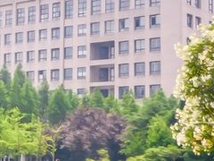 -上海财经大学(国定路校区)