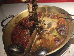-小龙翻大江文化火锅(宽窄店)