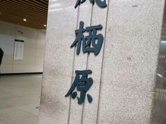 -凤栖原(地铁站)