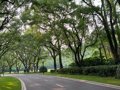 -西郊宾馆-地面停车场