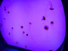 -沈阳海洋探索中心