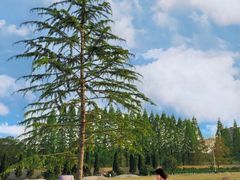 -杭州城北体育公园