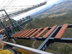 -梦幻奥陶纪景区