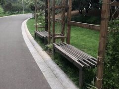 -青枫公园