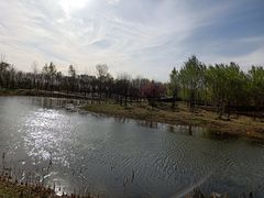 -东郊湿地公园