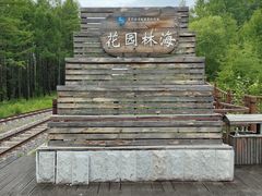 -莫尔道嘎国家森林公园