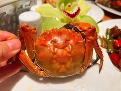 -金茂君悦·食在56海鲜自助餐厅ON56