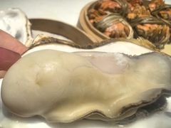 -杨氏青龙虾·羊蝎子(托乐嘉店)