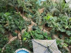 -黑龙江中医药大学附属第一医院