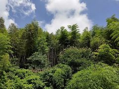 -径山寺