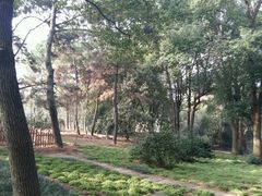 -东湖落雁景区