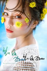 点击看大图 -巴黎新娘婚纱摄影·婚礼策划(嘉定总店)