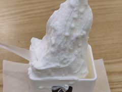 -野人先生Gelato(上海长宁龙之梦店)