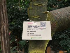 -呀路古热带植物园