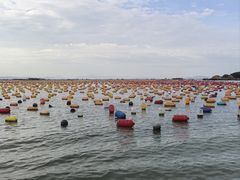 -青澳湾北回归线广场