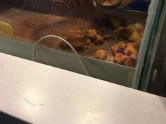 -1973继光香香鸡(曲阳路店)